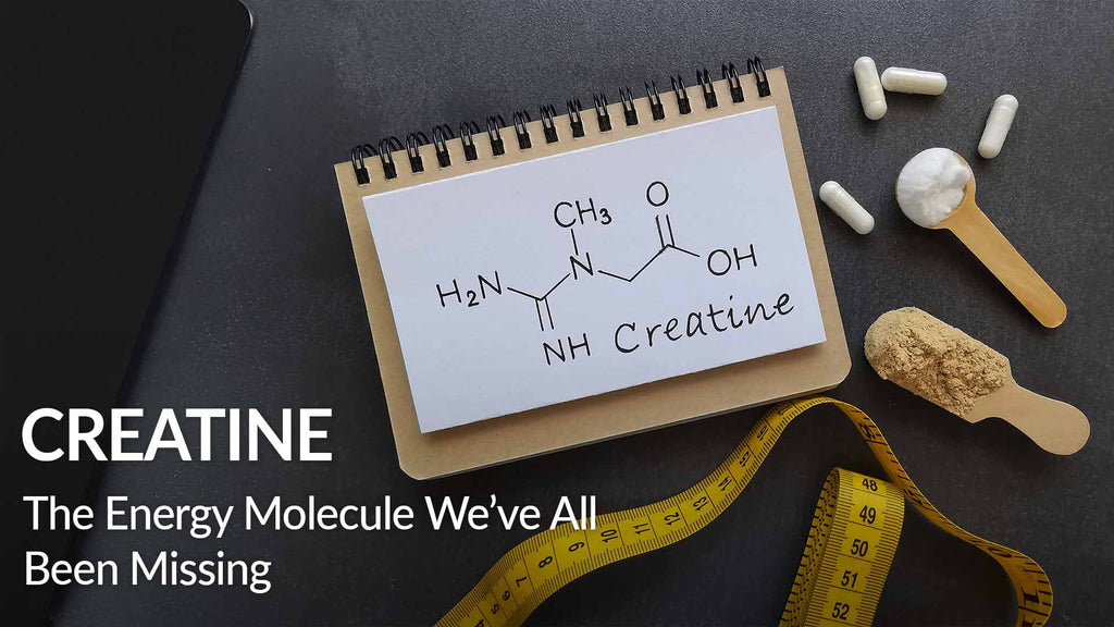 Creatine: The Energy Molecule We’ve All Been Missing