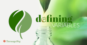 13 – Variables and Tools