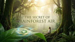 The Secret of Rainforest Air