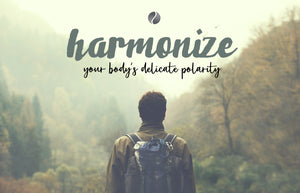 Therasage Blogpost 005 Instant Calmer