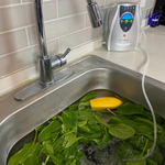 TheraO3 - Bubbler (110v for North America)