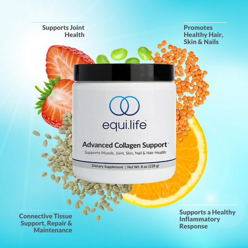 EquiLife Advanced Collagen Support