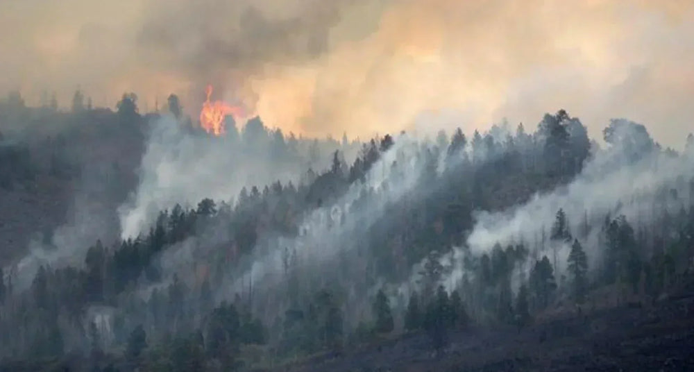 Wildfire Season Survival Guide: Protect Your Air, Body, and Space
