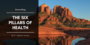 The 6 Pillars of Healing: Guest Blog by Dr. Stephen Sinatra