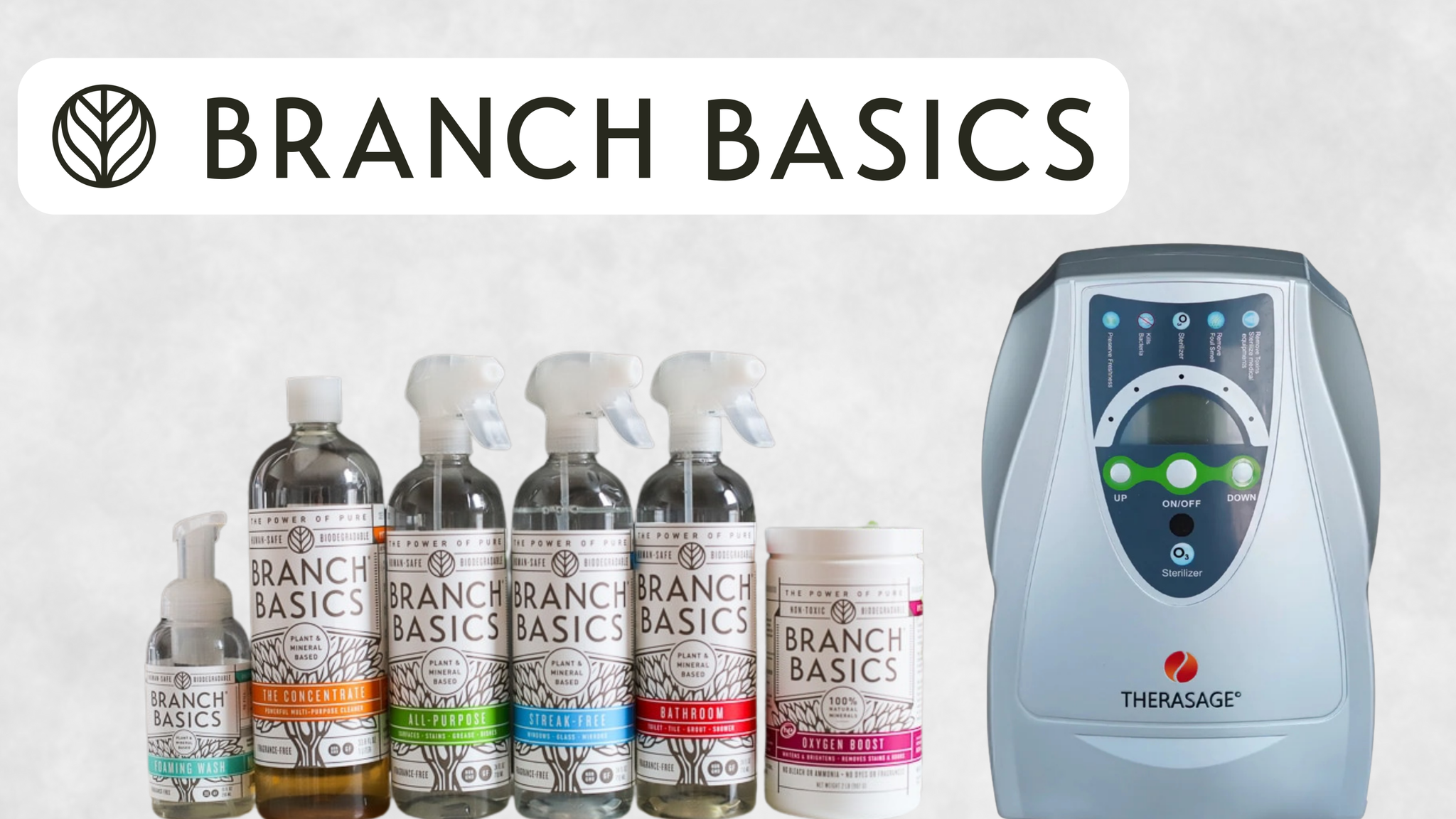 Branch Basics