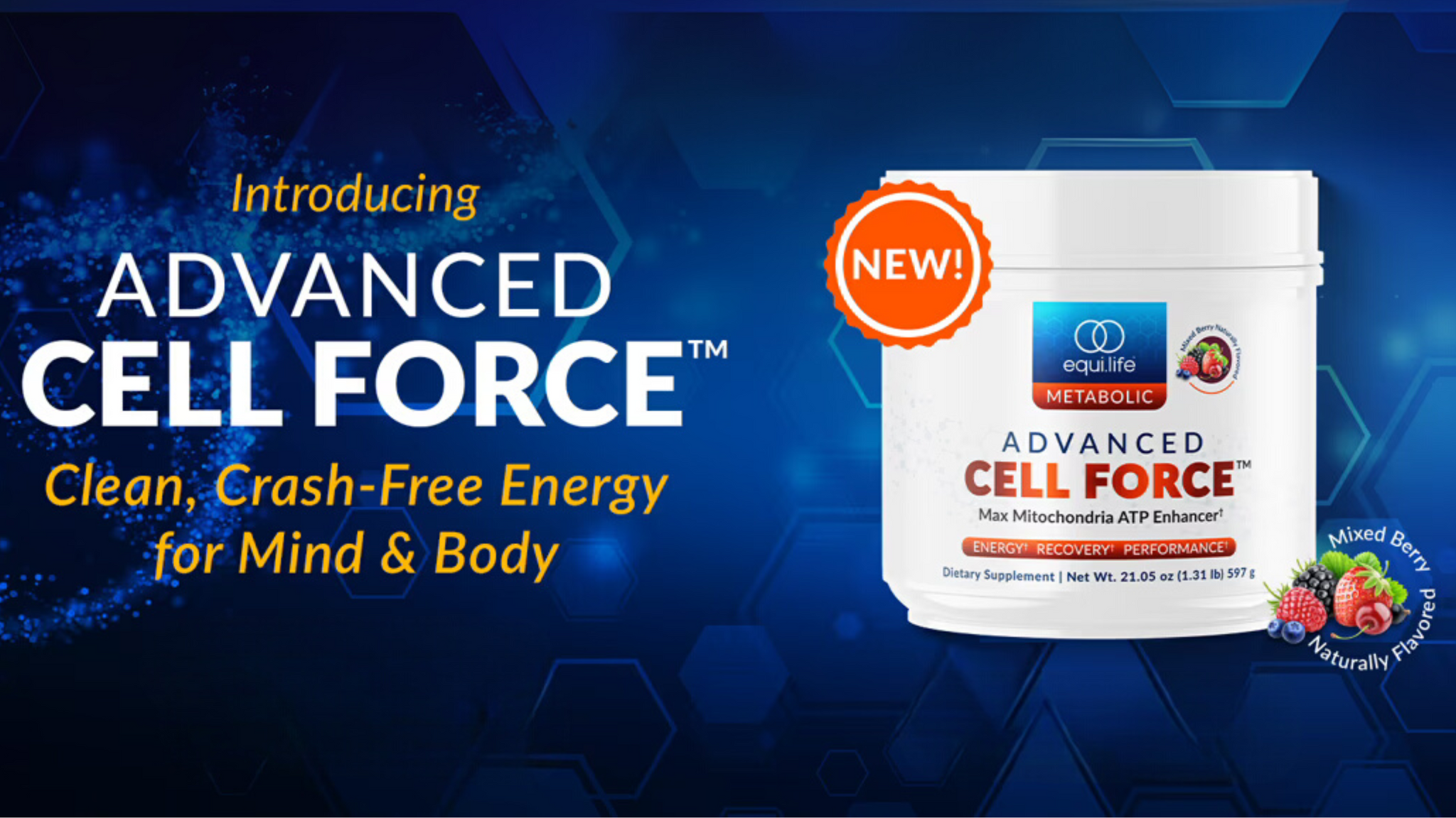 EquiLife by Dr. Cabral